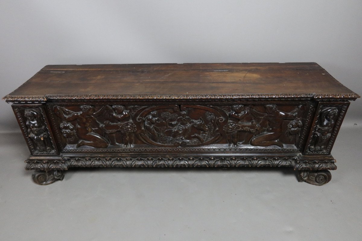 Cassone Chest In Walnut XIX-photo-3