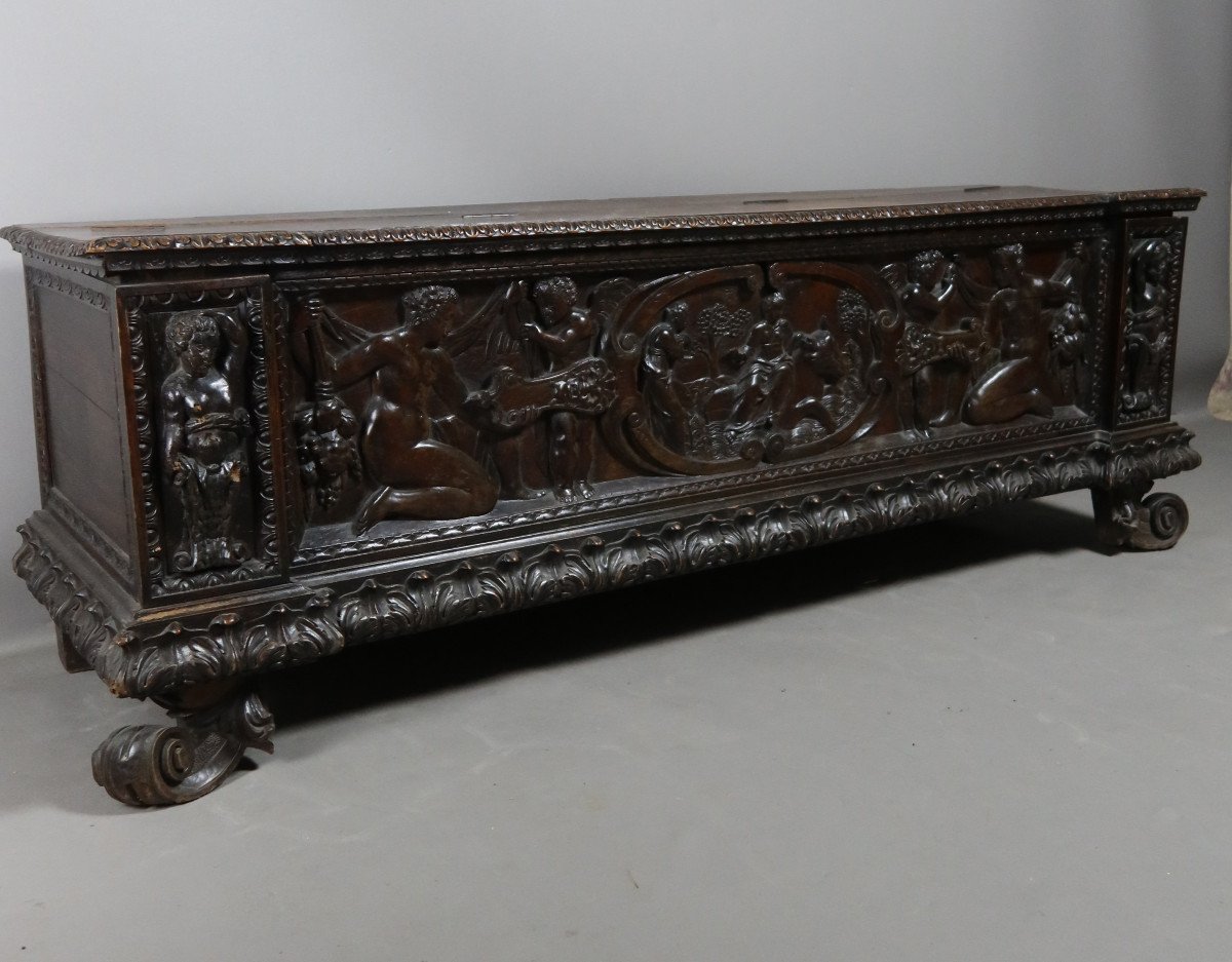 Cassone Chest In Walnut XIX-photo-6