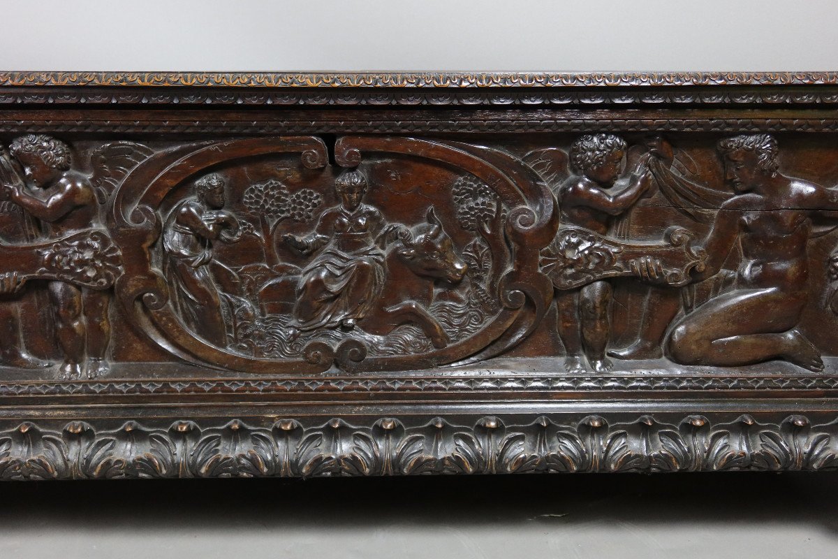 Cassone Chest In Walnut XIX-photo-7