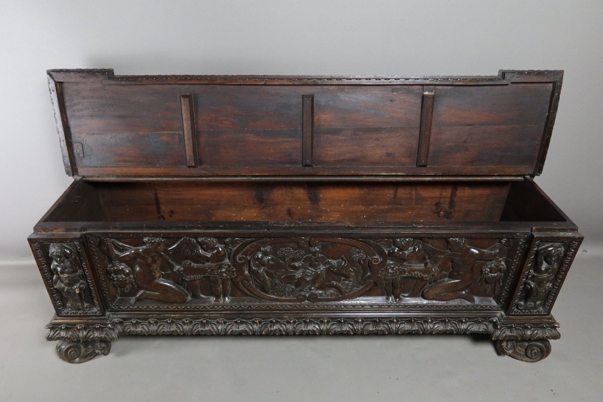 Cassone Chest In Walnut XIX-photo-8