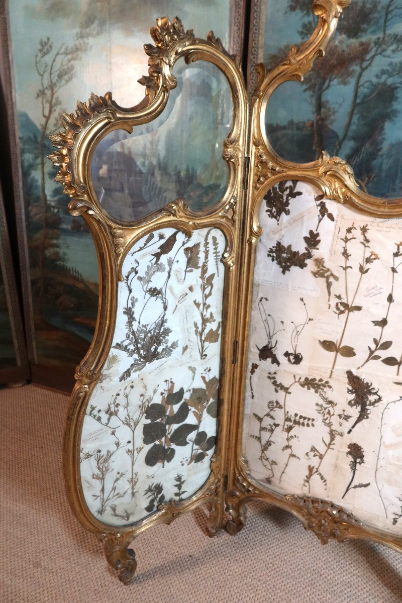 Louis XV Style Gilded Wood Screen-photo-2