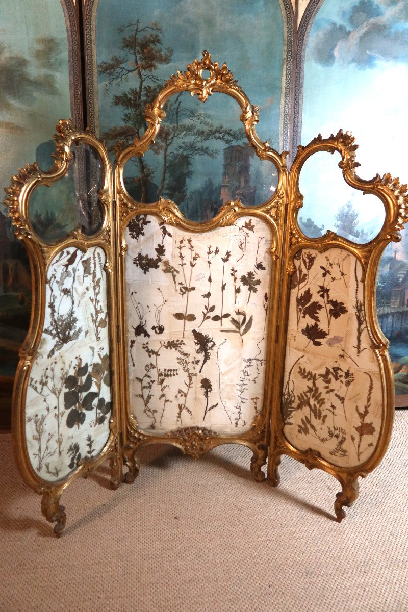 Louis XV Style Gilded Wood Screen-photo-7