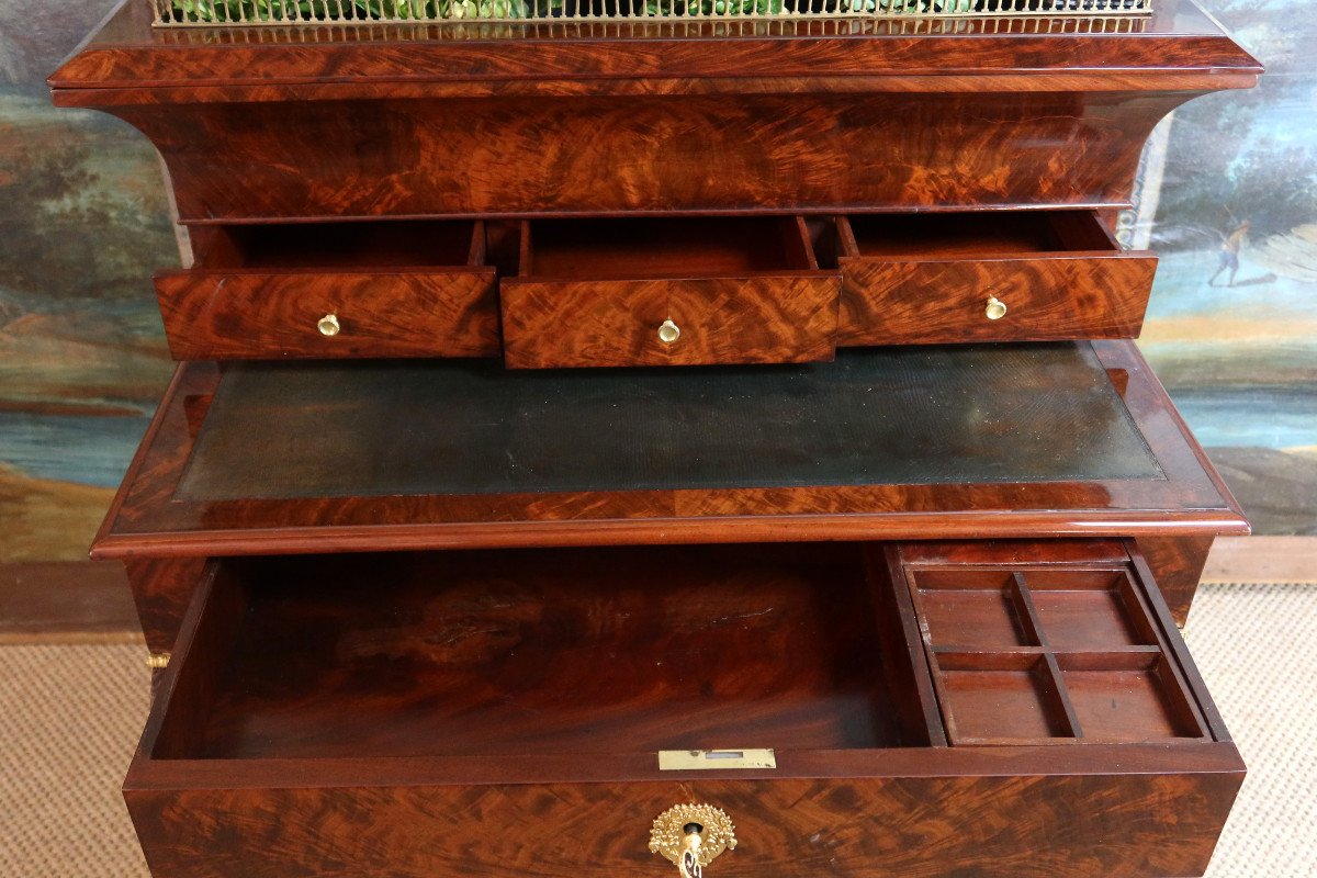 Mahogany Desk Forming A Planter-photo-3