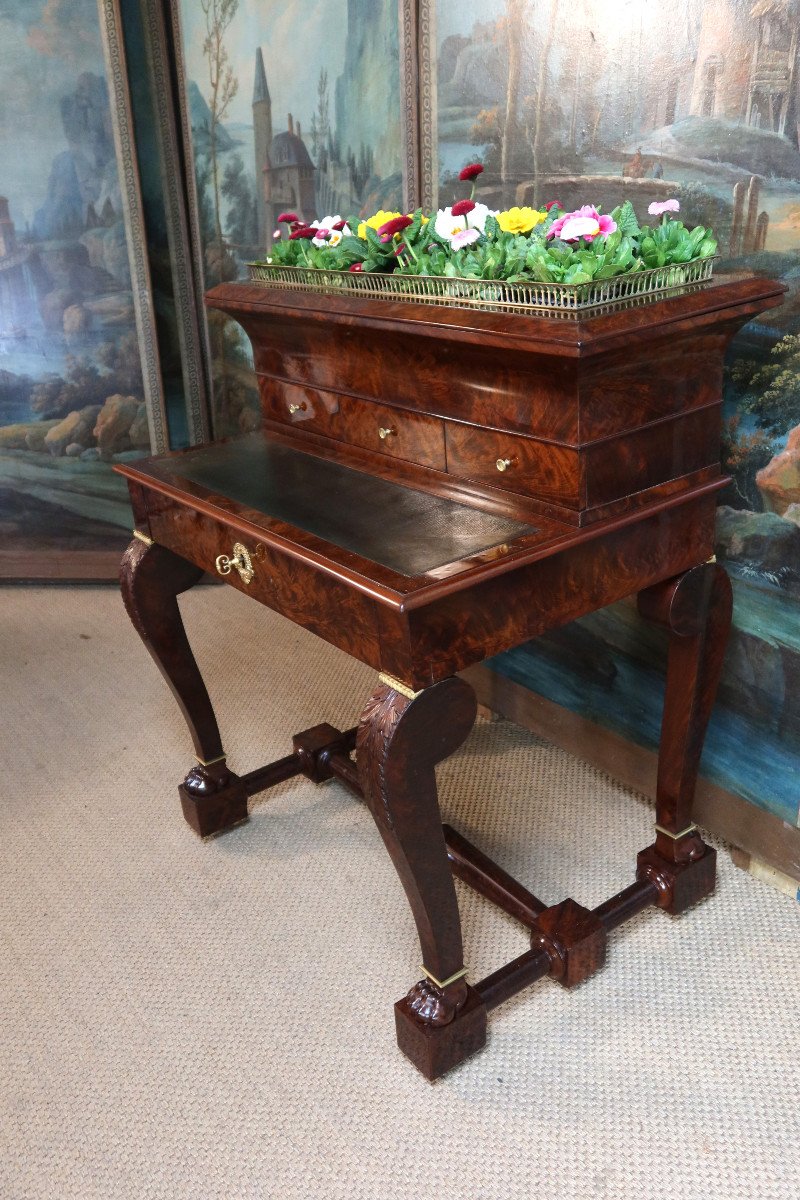 Mahogany Desk Forming A Planter-photo-4