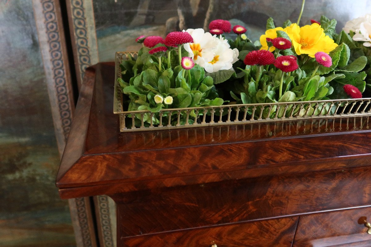 Mahogany Desk Forming A Planter-photo-2