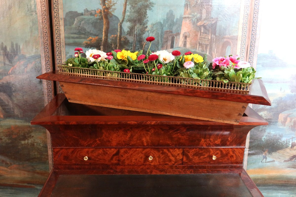 Mahogany Desk Forming A Planter-photo-5