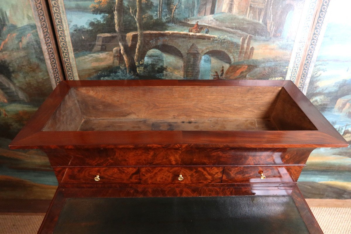 Mahogany Desk Forming A Planter-photo-6