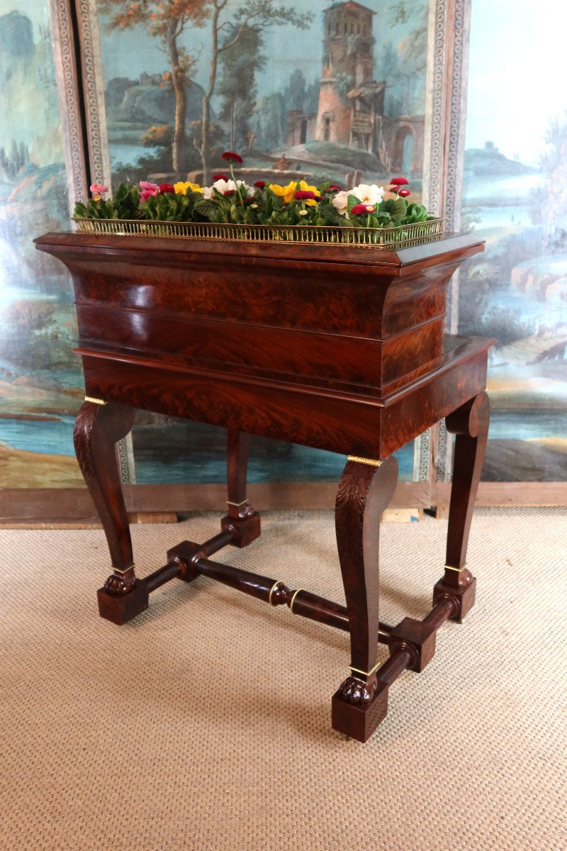 Mahogany Desk Forming A Planter-photo-7