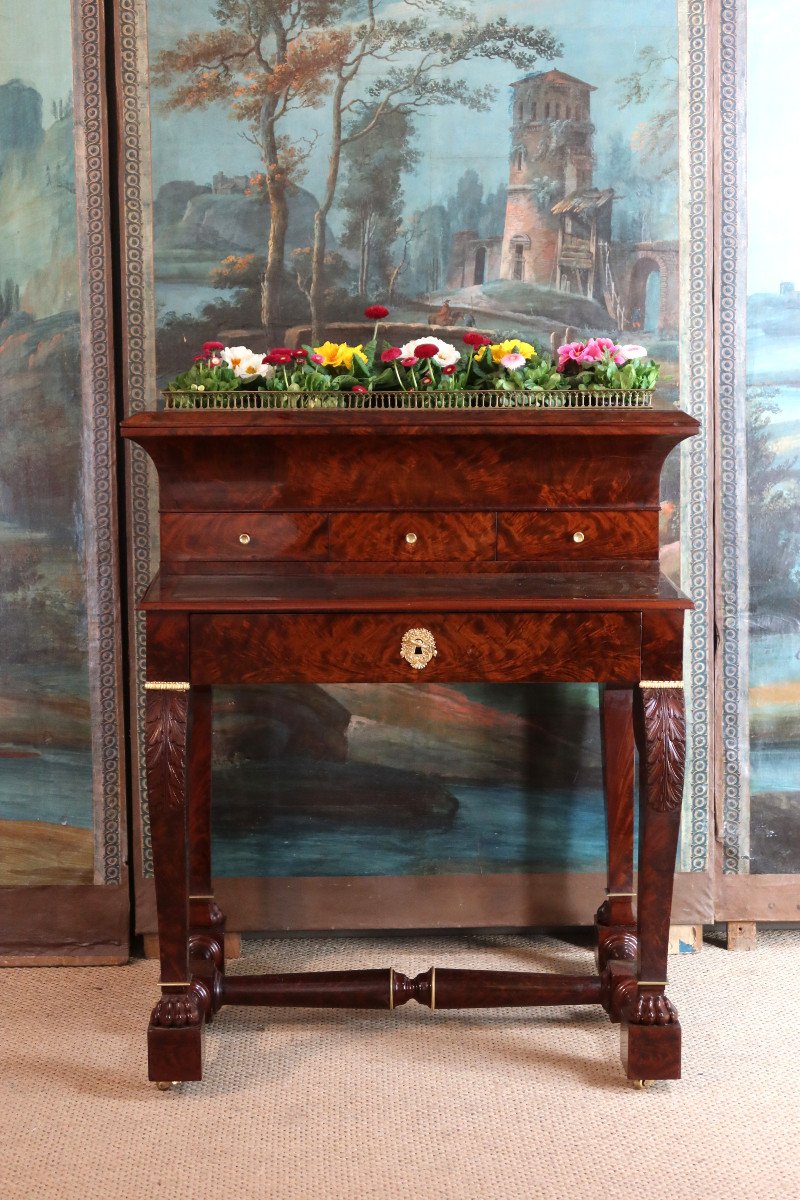 Mahogany Desk Forming A Planter