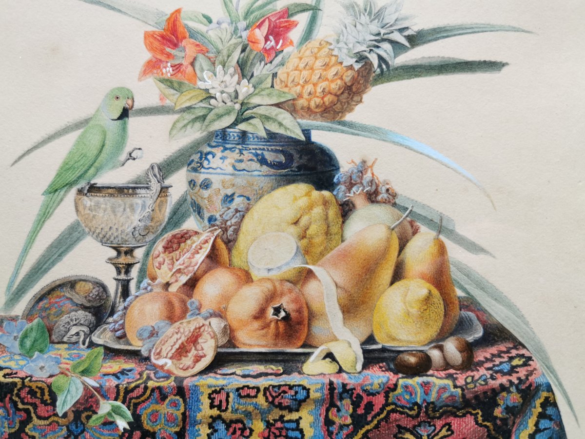 Chazal Antoine 1834 Aquarelle Nature Morte Perruche Ananas XIX ème 