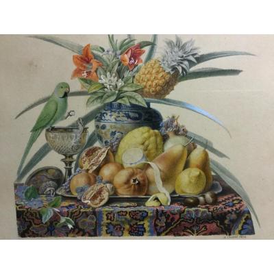 Chazal Antoine 1834 Aquarelle Nature Morte Avec Fruits Fleurs  Et Perruche 