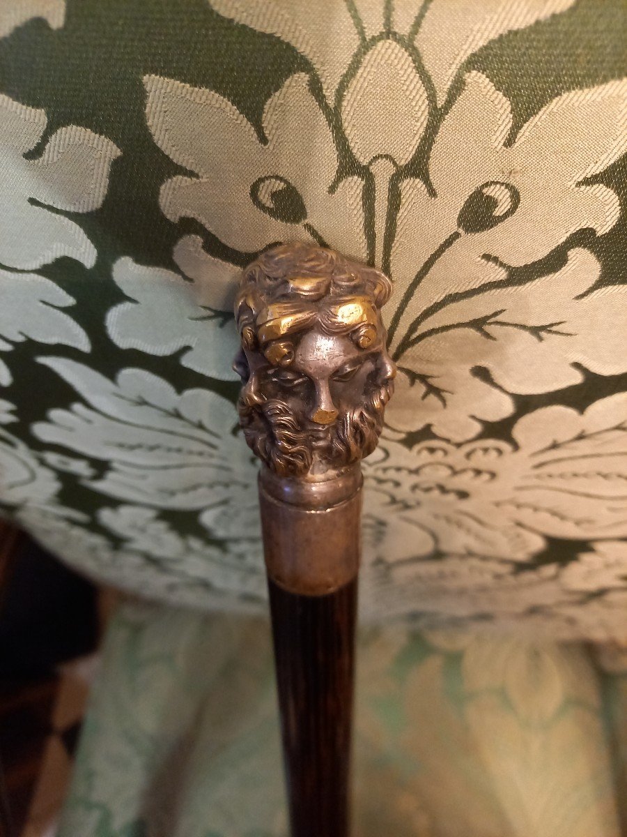 Head Breaking Cane Mid 19th Century-photo-3