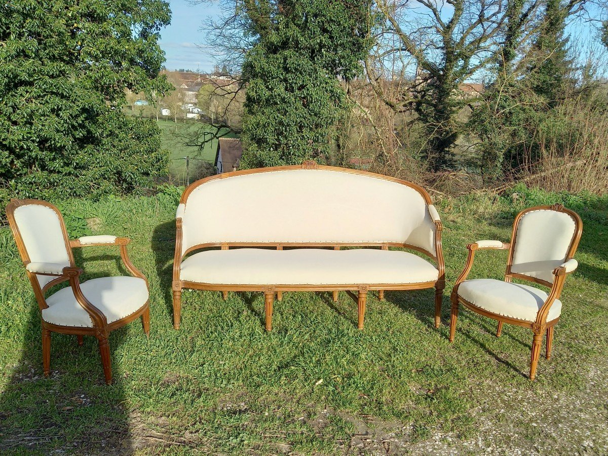 Louis XVI Period Living Room In Walnut Ready To Cover. 