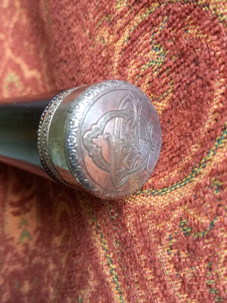 19th Century Cane With Silver Pommel, Ebony Shaft -photo-4