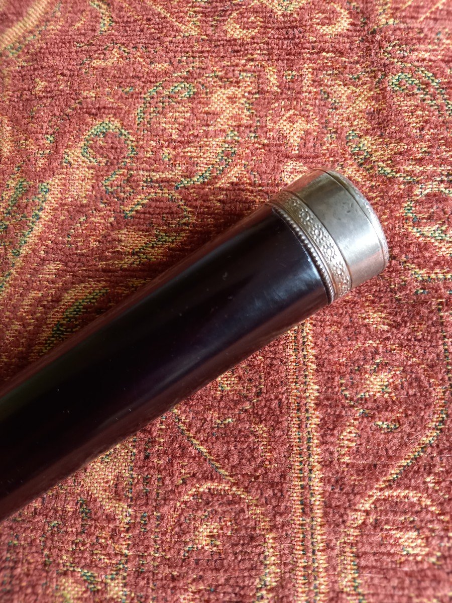 19th Century Cane With Silver Pommel, Ebony Shaft 