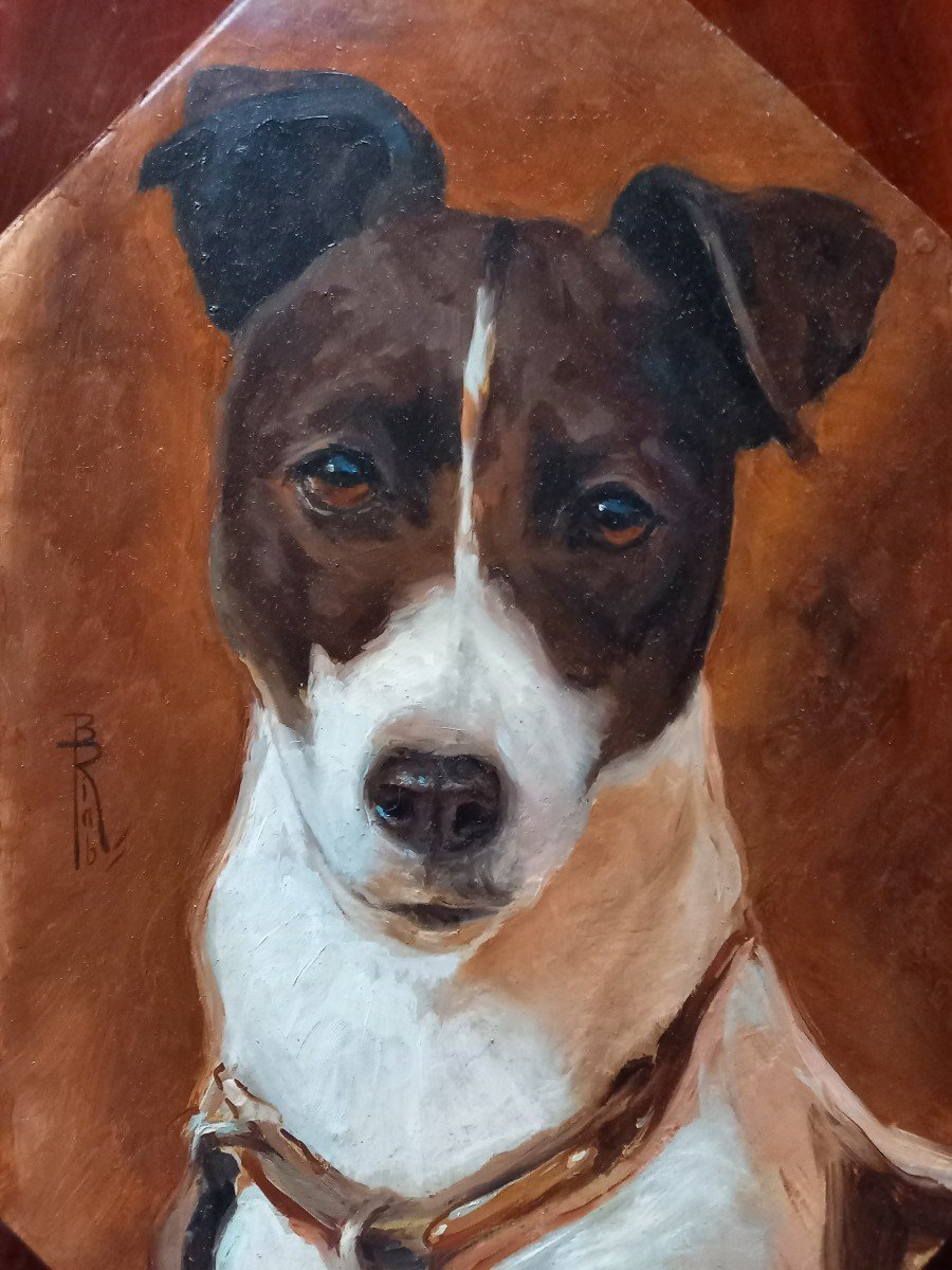 Portrait De Jack Russel Par Riab-photo-2