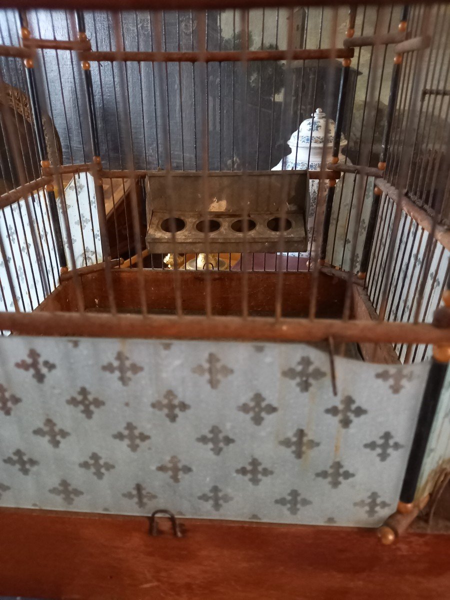 19th Century Bird Cage -photo-3