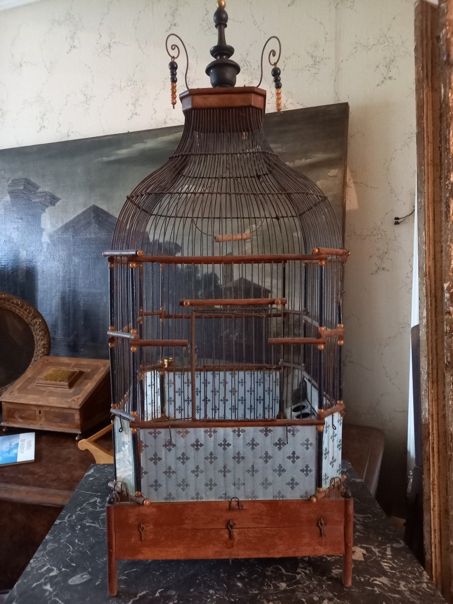 19th Century Bird Cage 