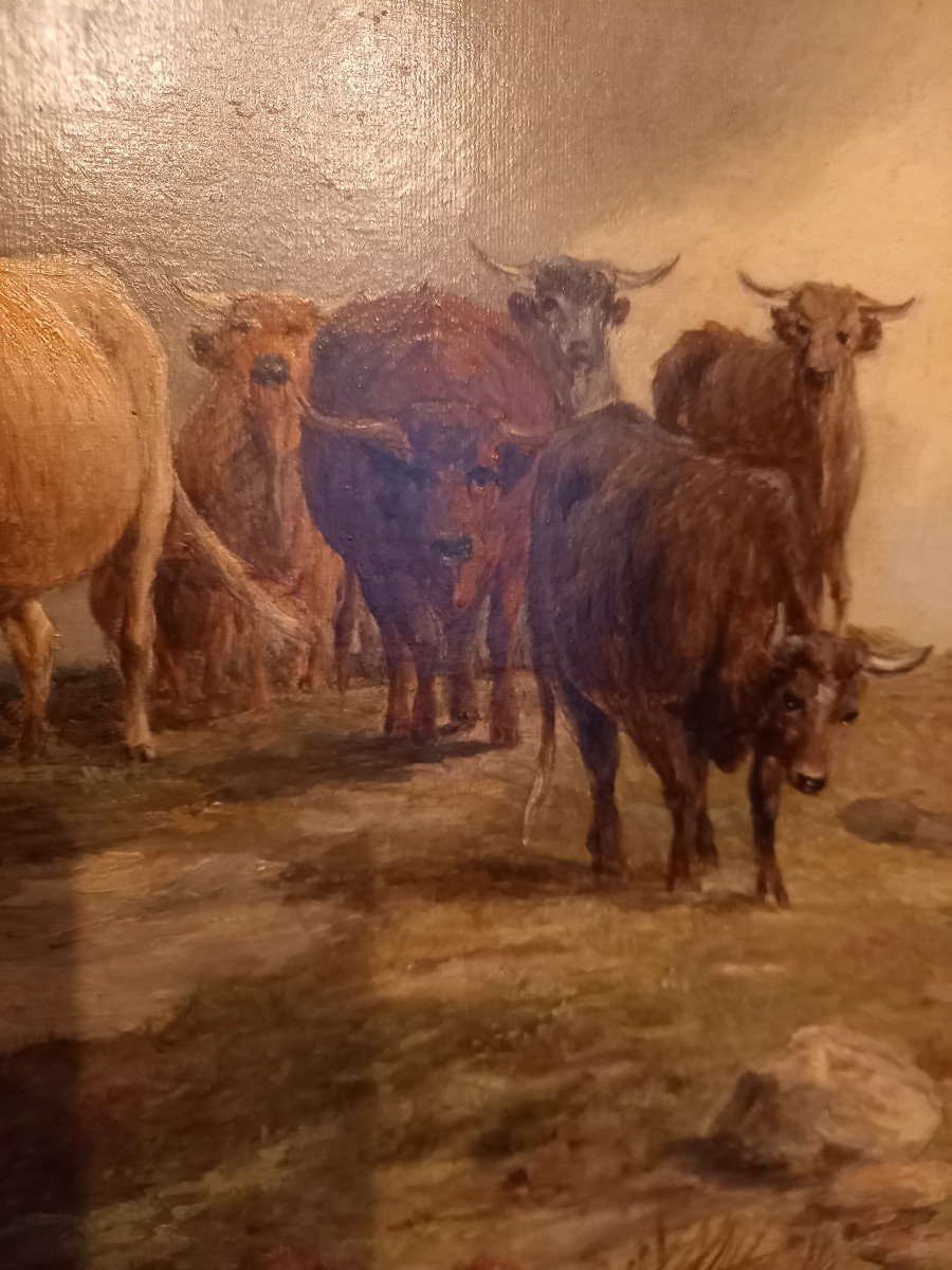 A Herd In The Highlands By Edward Hargitt-photo-3