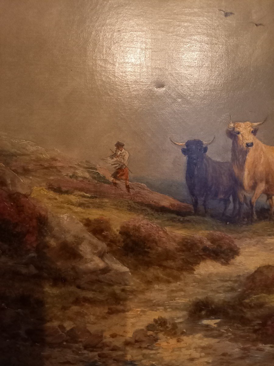 A Herd In The Highlands By Edward Hargitt-photo-4