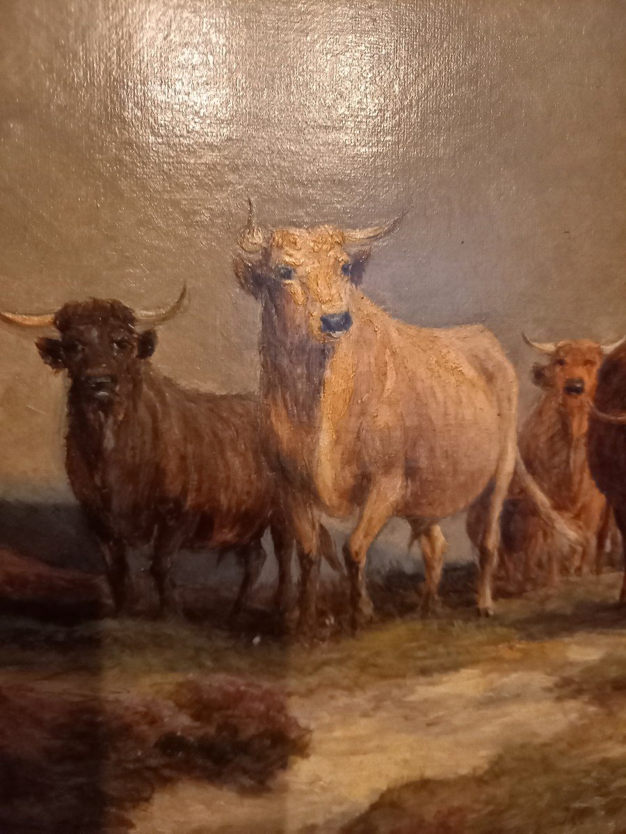 A Herd In The Highlands By Edward Hargitt-photo-1