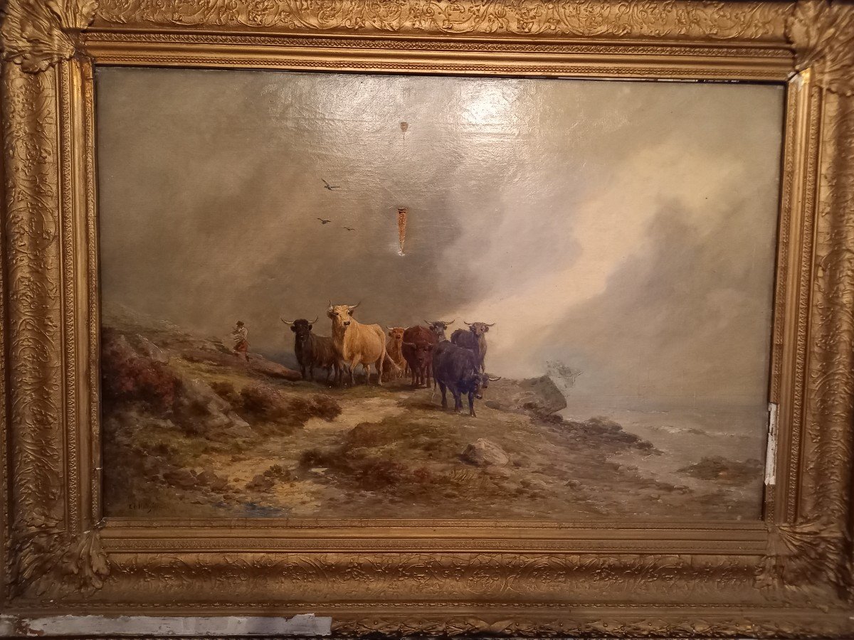 A Herd In The Highlands By Edward Hargitt