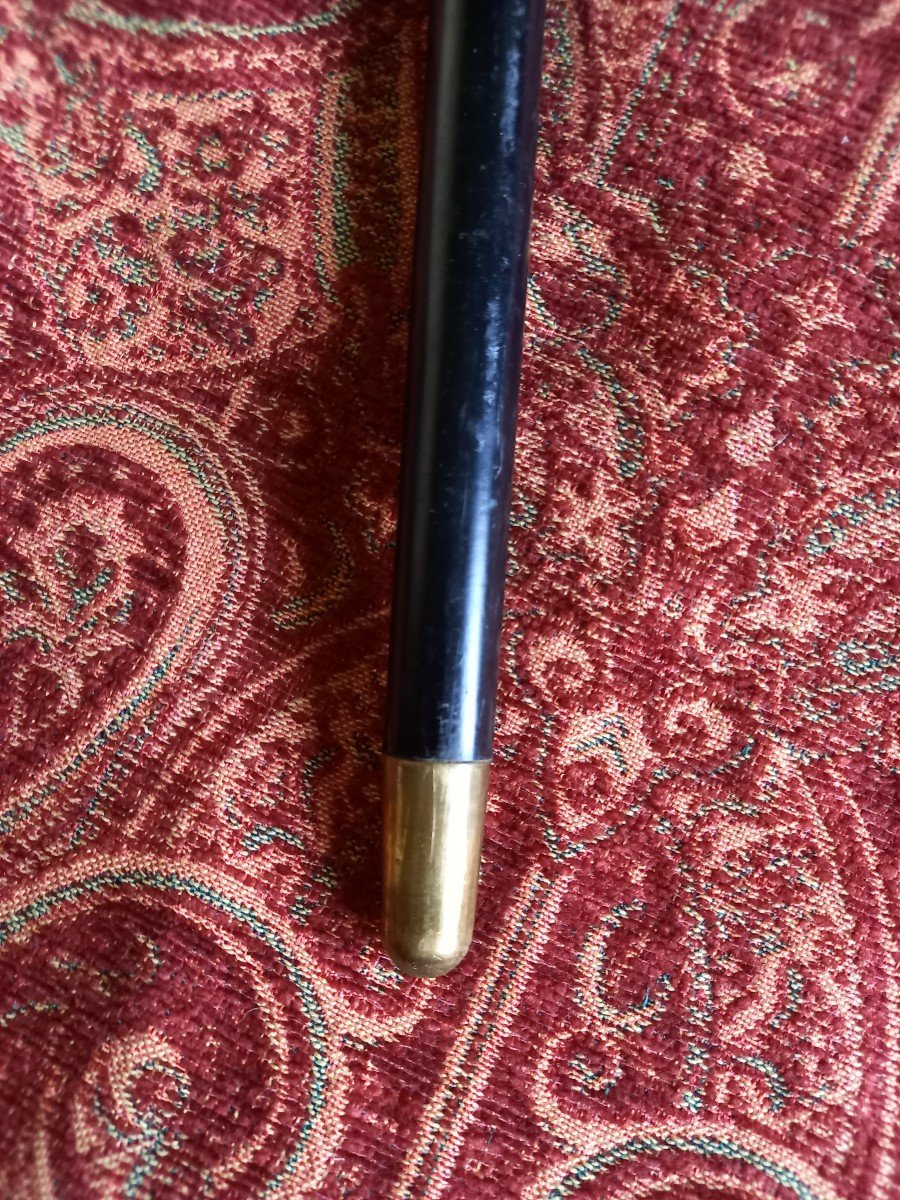 Duck Cane-photo-3