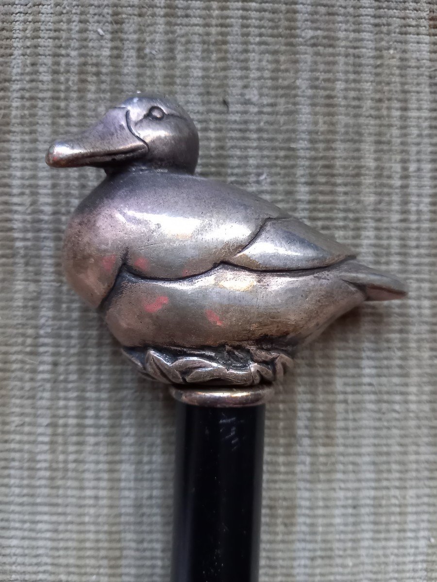 Duck Cane