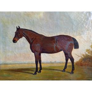 Portrait Of A Thoroughbred. English School, 19th Century 