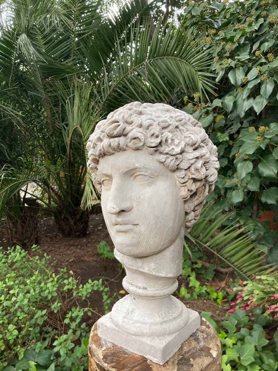 Grand Tour Buste D Antinous en plâtre -photo-1