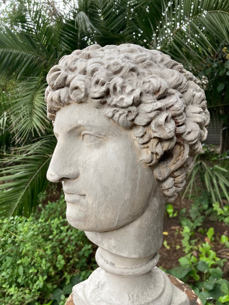 Grand Tour Buste D Antinous en plâtre -photo-4