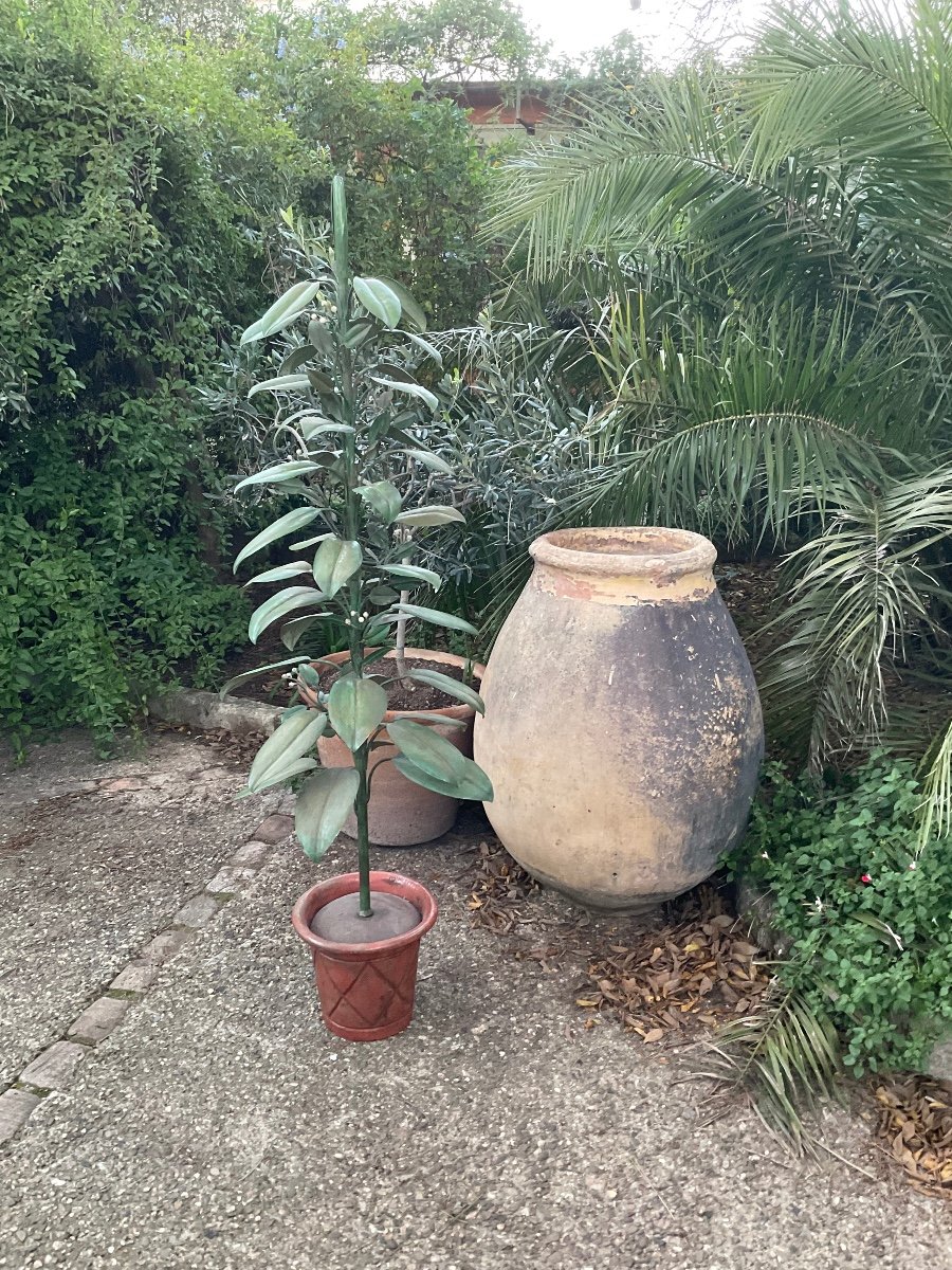 Large 18th Century Terracotta Biot Jar -photo-2