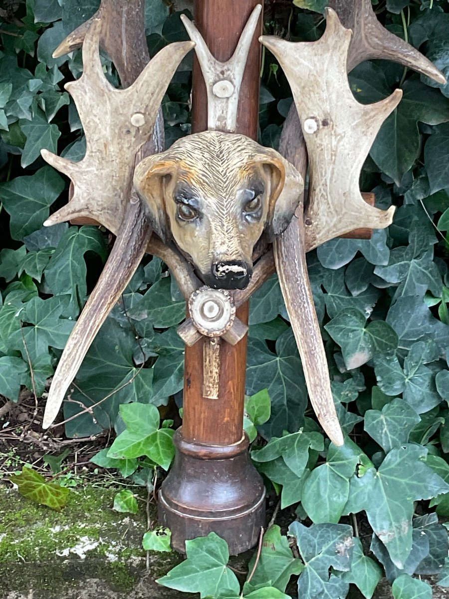 Meuble Insolite  Console Au Chien Forêt Noire fin XIX éme -photo-3