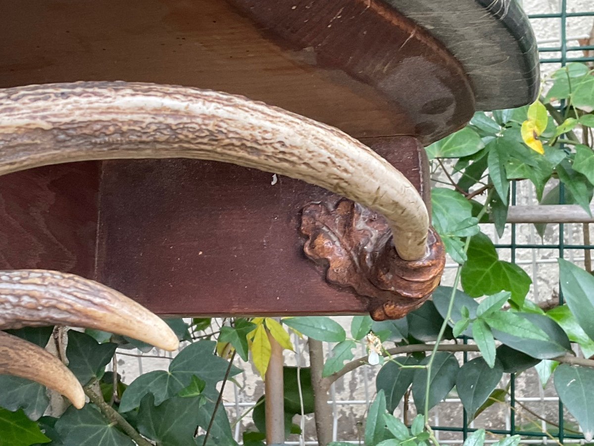 Meuble Insolite  Console Au Chien Forêt Noire fin XIX éme -photo-5