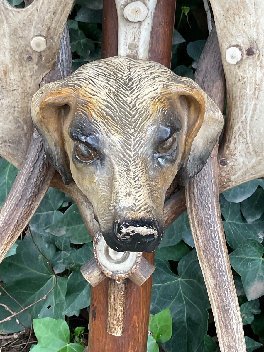 Meuble Insolite  Console Au Chien Forêt Noire fin XIX éme -photo-7