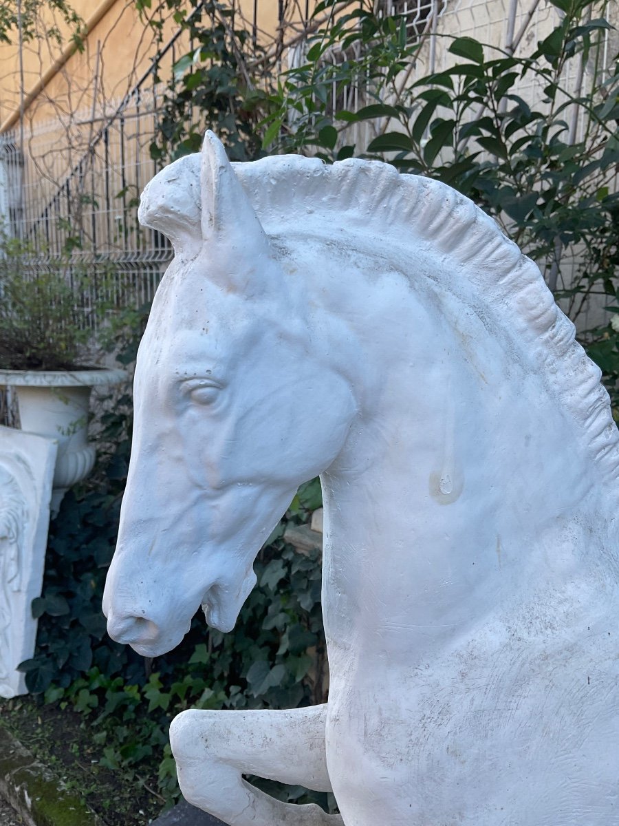 Plaster. The Rearing Horse Circa 1950/60 -photo-3