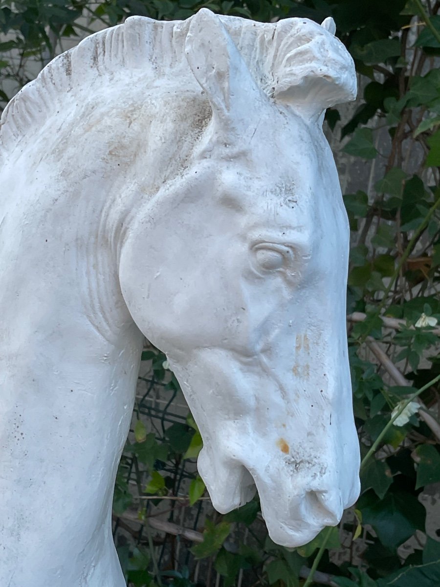 Plaster. The Rearing Horse Circa 1950/60 -photo-4