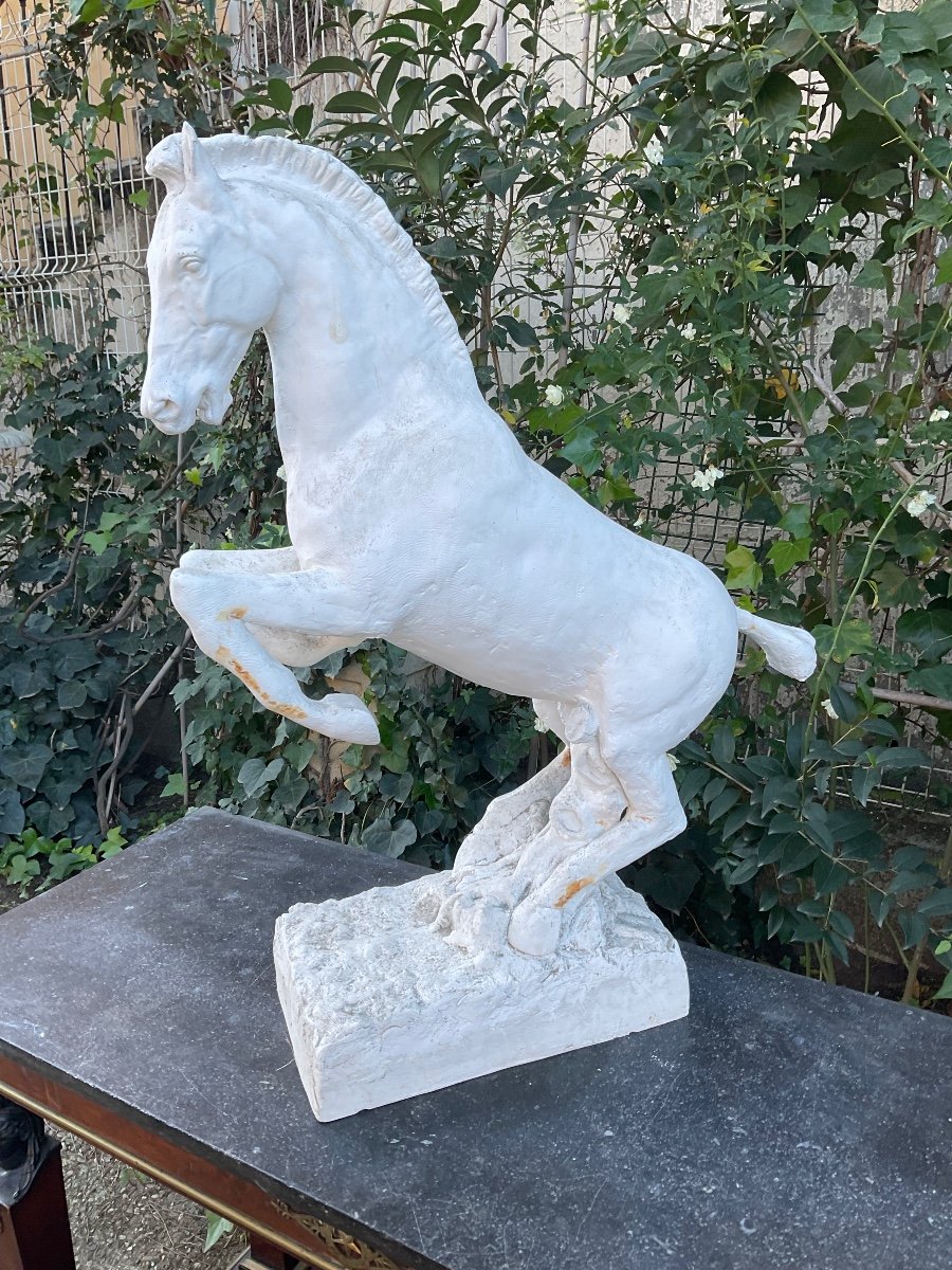 Plaster. The Rearing Horse Circa 1950/60 -photo-3