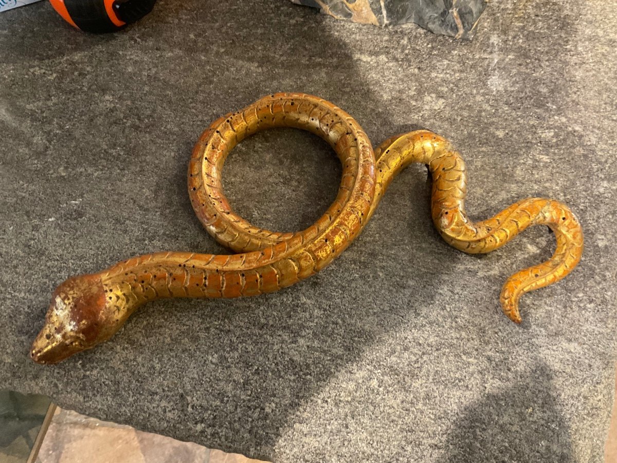 Carved And Gilded Wooden Snakes, Early 19th Century -photo-1