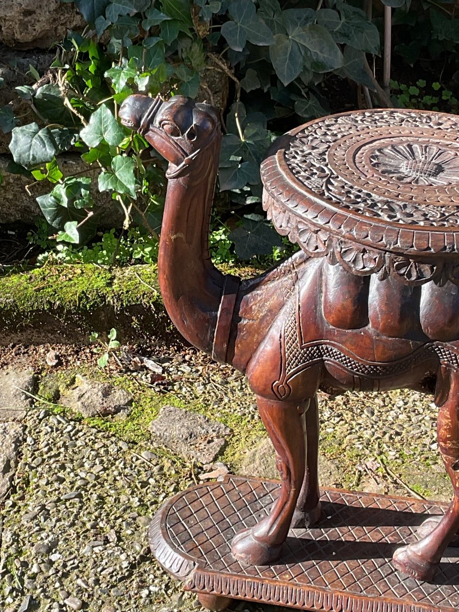 Small Camel Table Circa 1920/30-photo-4