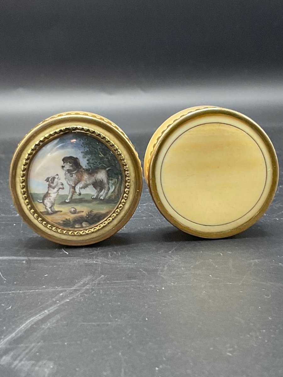 Ivory Box Circled In Bronze With A Miniature On Ivory Representing Two Dogs.-photo-1