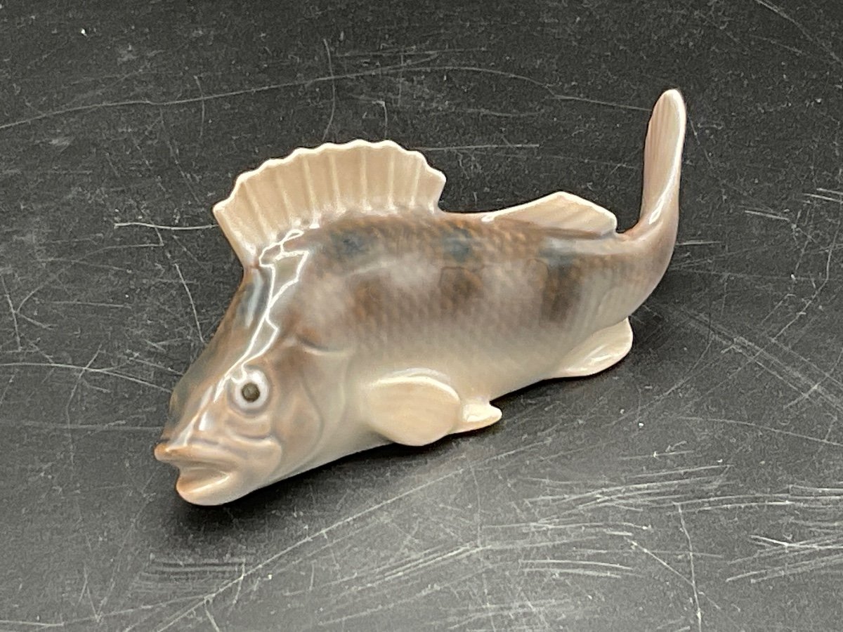 Royal Copenhagen Porcelain Fish Representing A Royal Perch Manufacture De Bing&grondhal.-photo-2