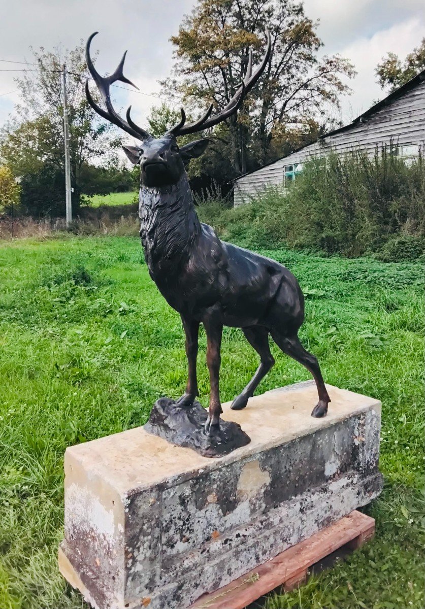 Cerf En Bronze