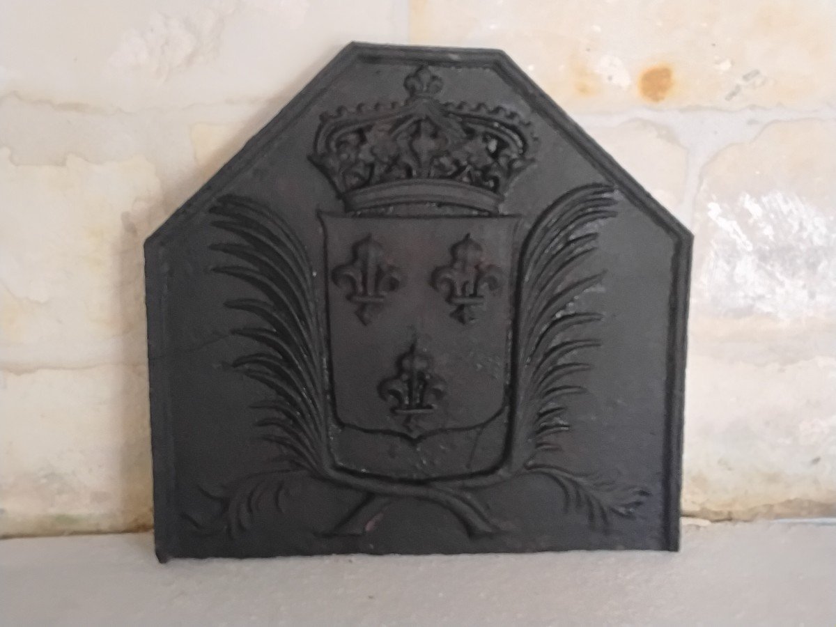 Cast Iron Fireplace Plate Representing The Arms Of France-photo-2