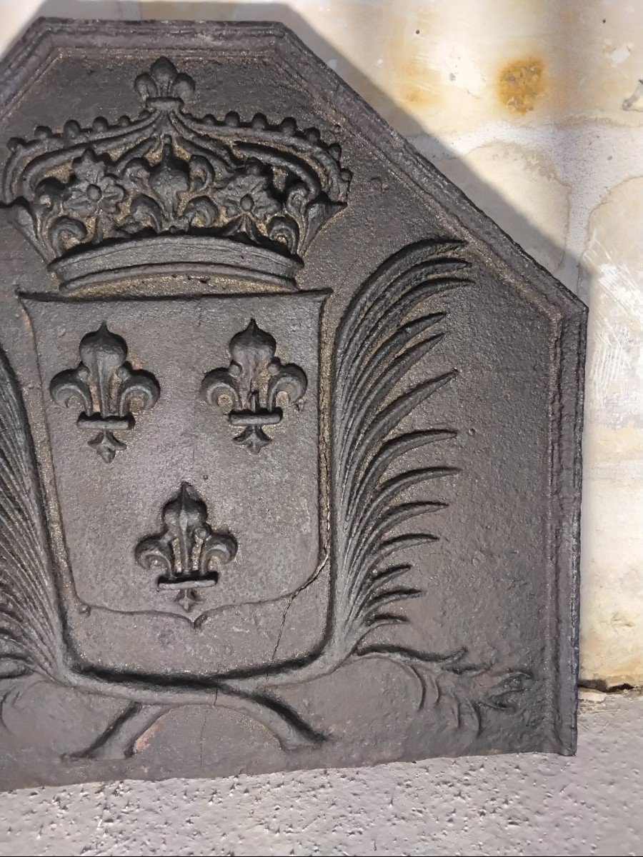 Cast Iron Fireplace Plate Representing The Arms Of France-photo-4