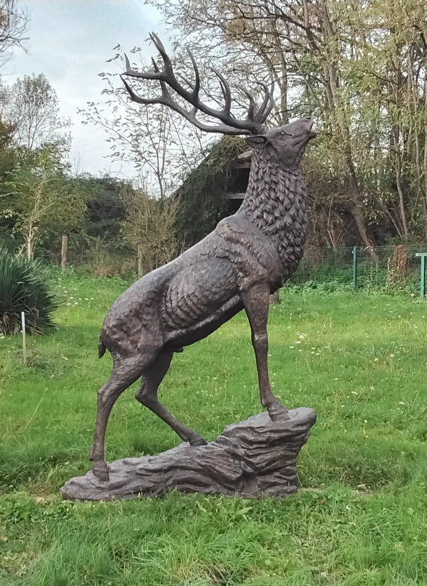 Grand Cerf En Bronze-photo-2