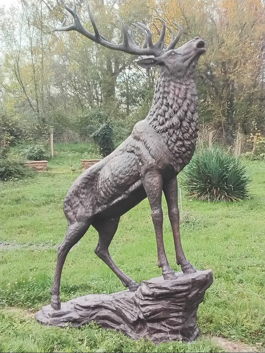 Grand Cerf En Bronze-photo-4