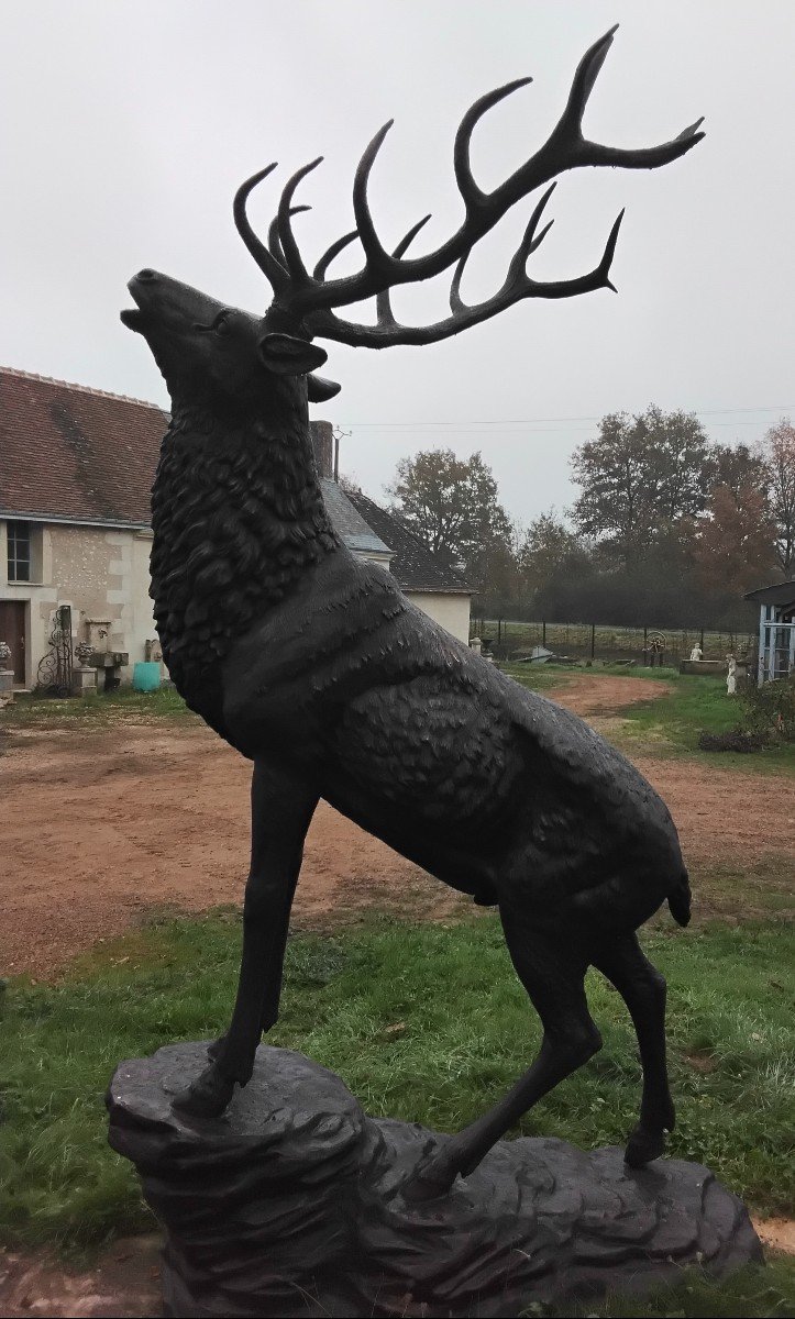 Grand Cerf En Bronze-photo-2