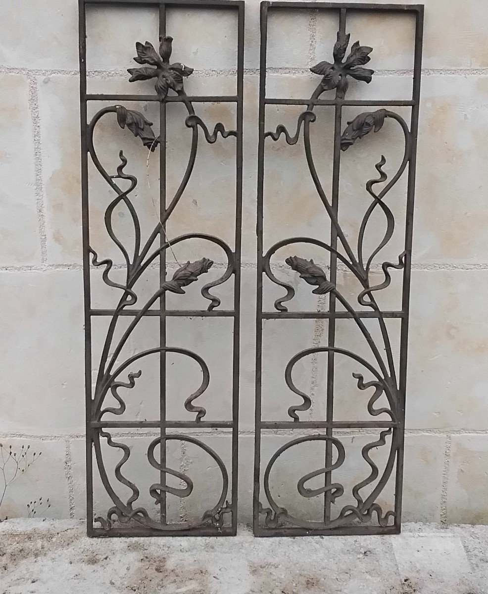 Pair Of Art Nouveau Grilles-photo-1