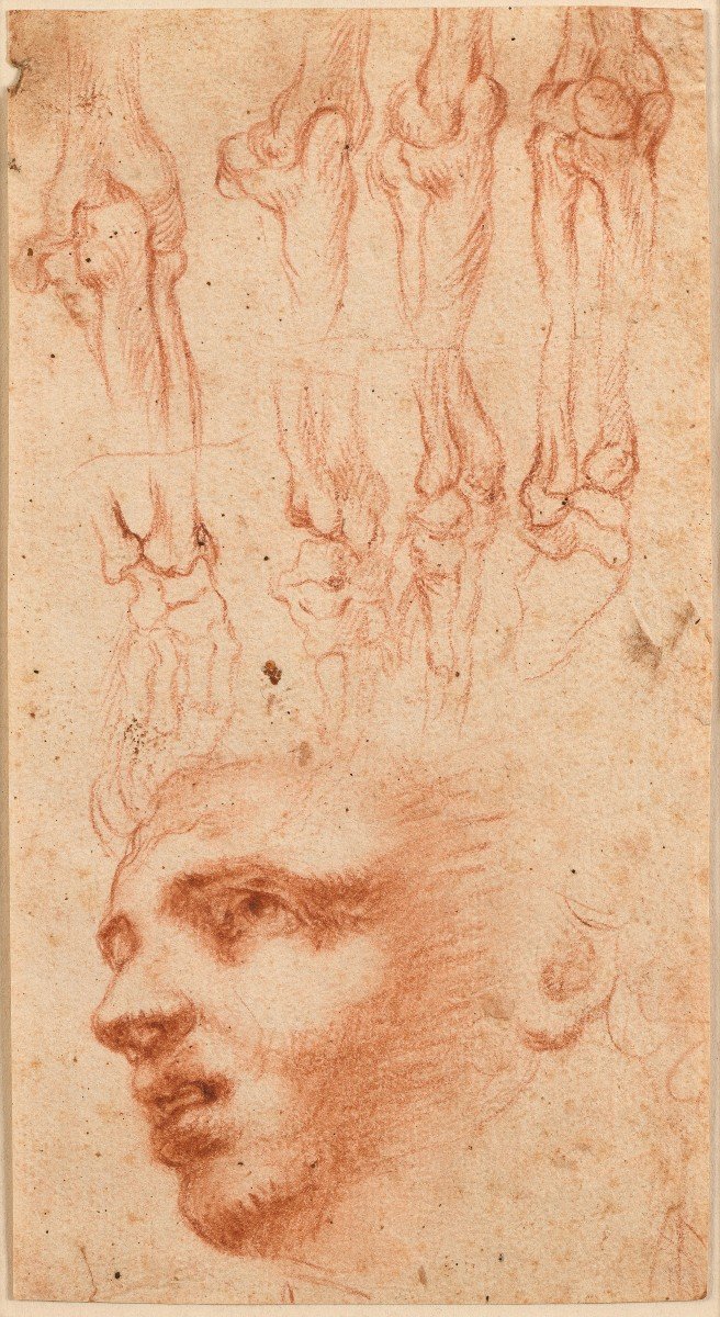 Old Drawing - Italian School, End Of The 16th Century-photo-2